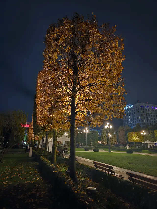 Corina Band Iasi — poza 2